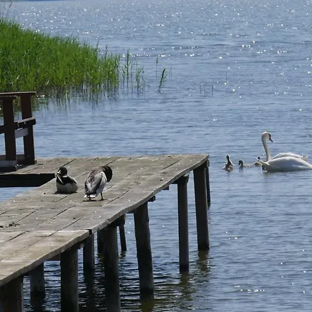 בית נופש Floating - 